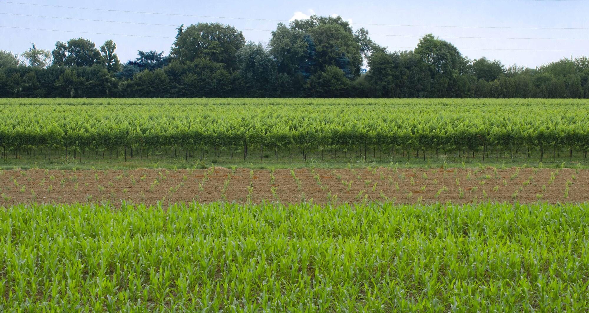 Garden - Smart Station touristique